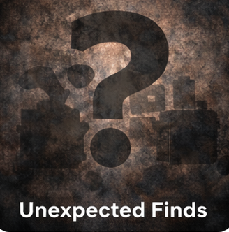 Unexpected Finds category image